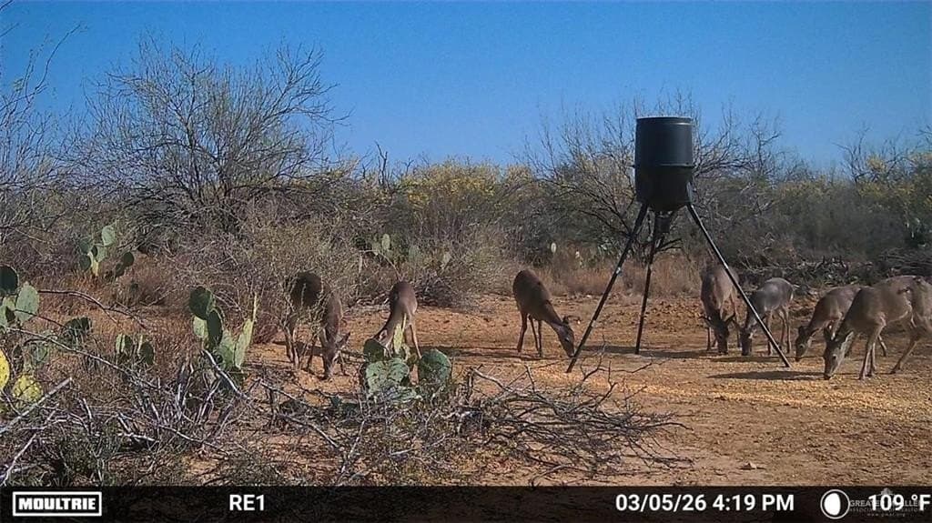 100 acres in Zapata County - photo 8