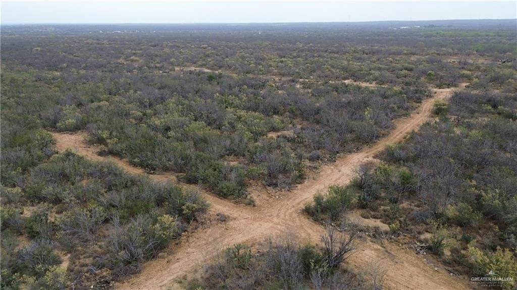 100 acres in Zapata County - photo 7