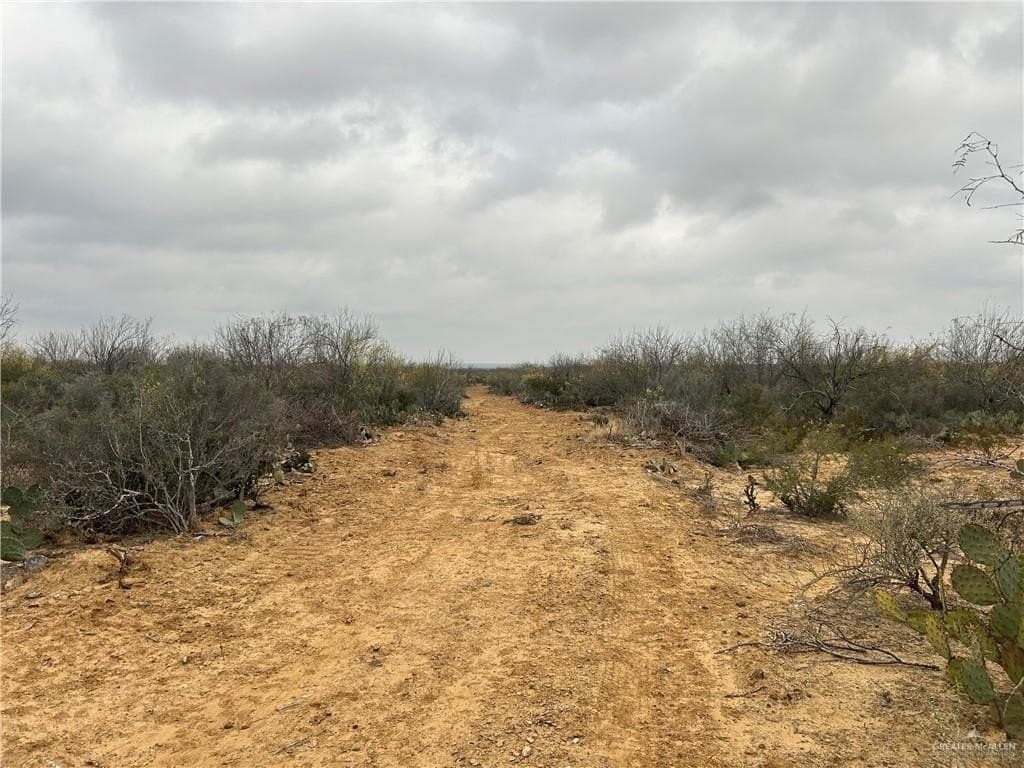 100 acres in Zapata County - photo 15