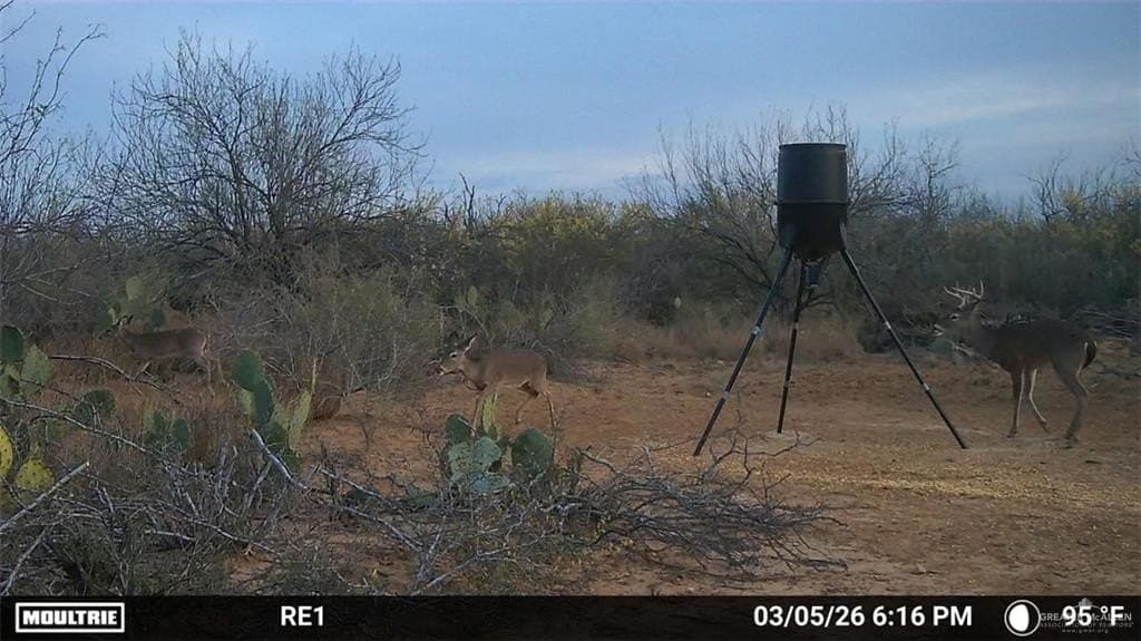 100 acres in Zapata County - photo 11