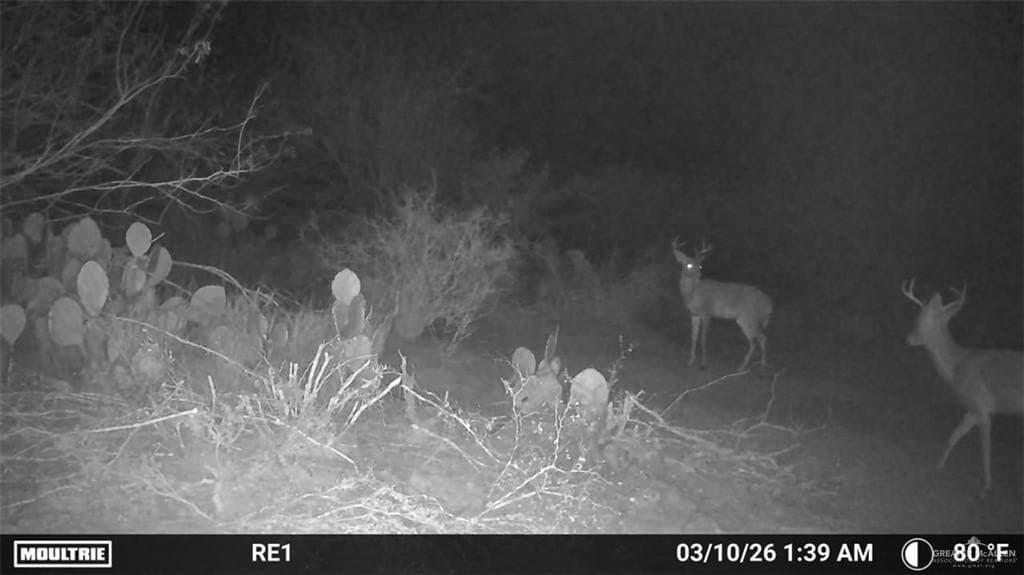 100 acres in Zapata County - photo 2