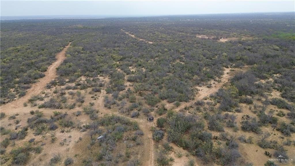 100 acres in Zapata County - photo 12