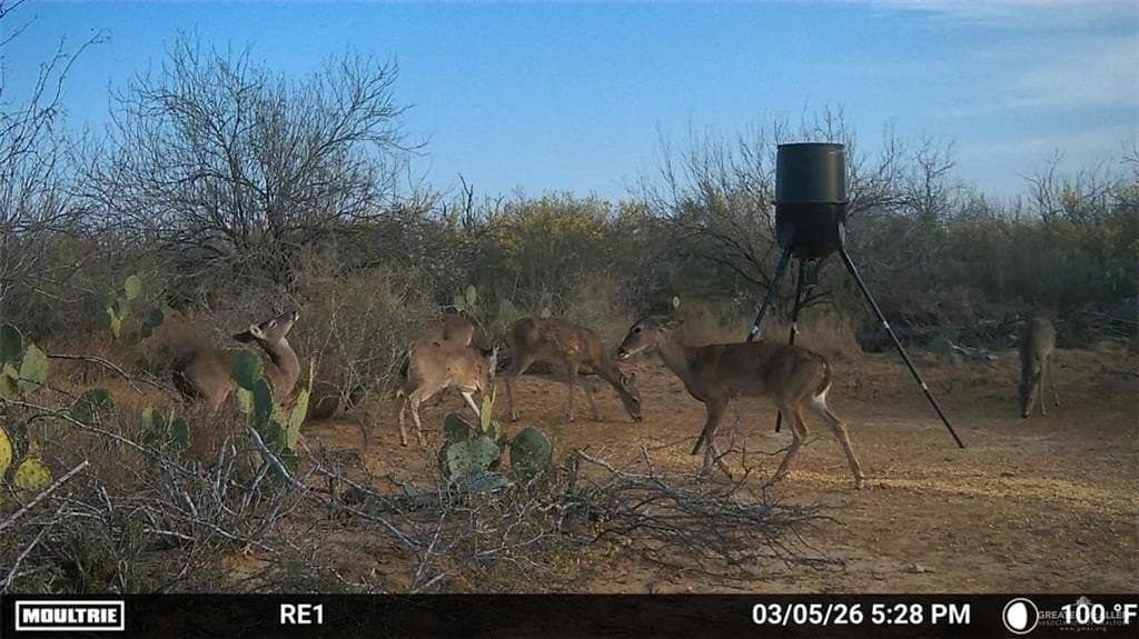 100 acres in Zapata County - photo 16