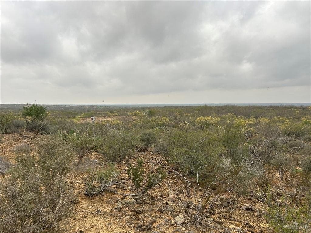 100 acres in Zapata County gallery image 4