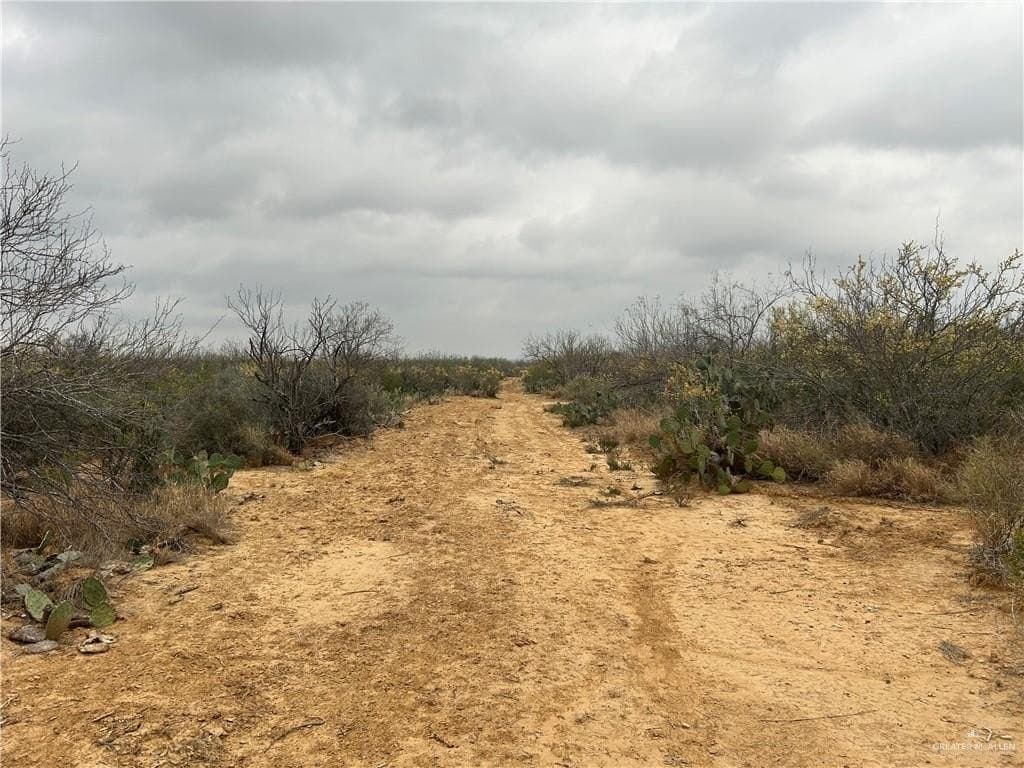 100 acres in Zapata County gallery image 3