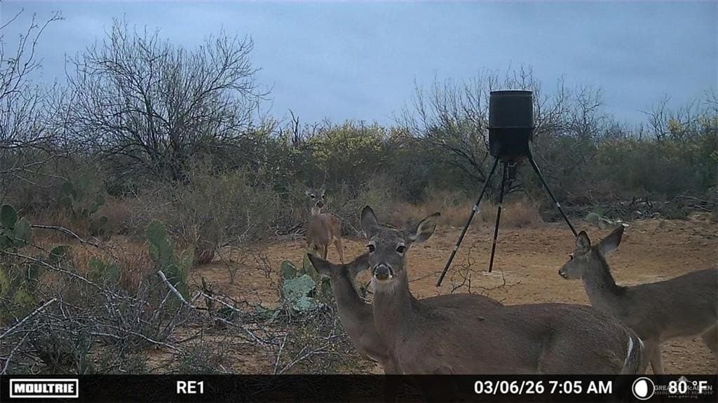 100 acres in Zapata County - photo 18