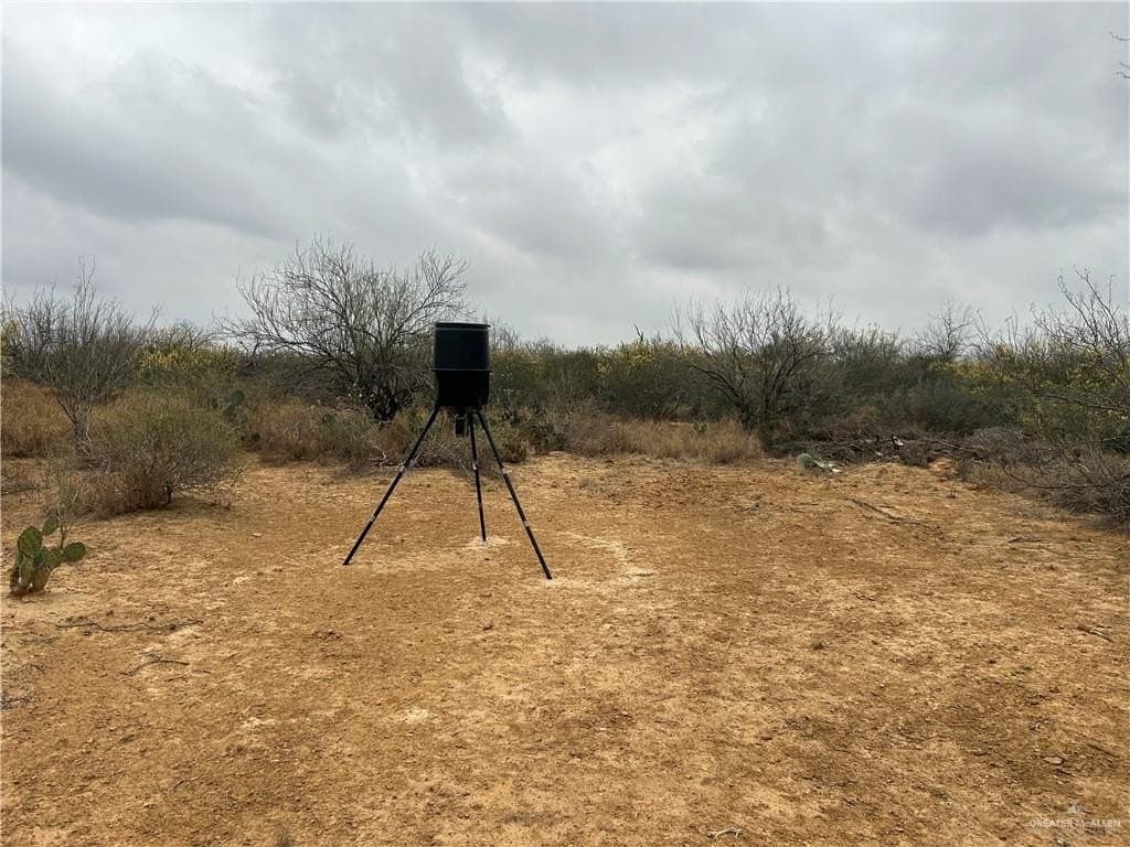 100 acres in Zapata County - photo 10