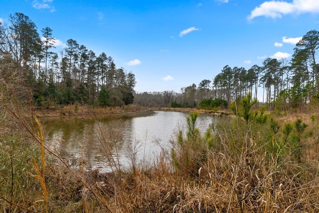 220 acres in Texas County - photo 32