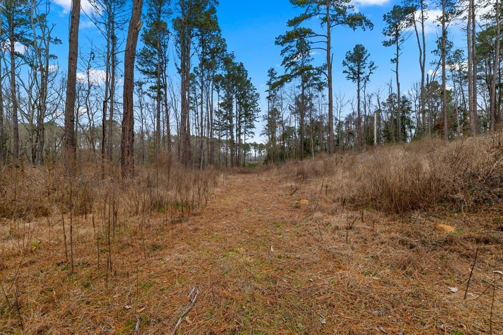 220 acres in Texas County - photo 37