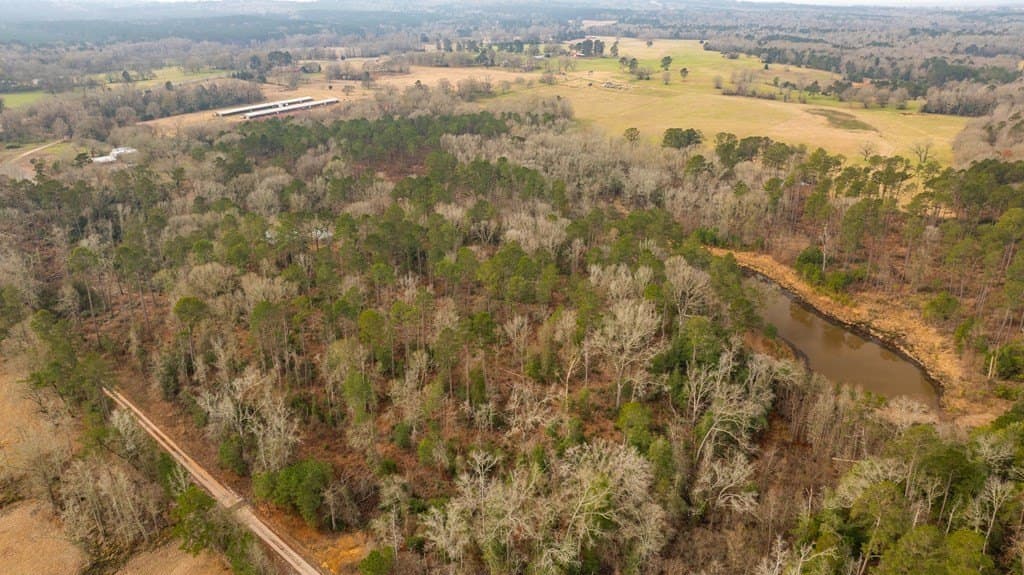 220 acres in Texas County - photo 49