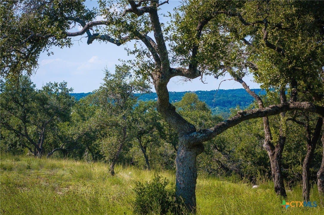 4 acres in Comal County - photo 6