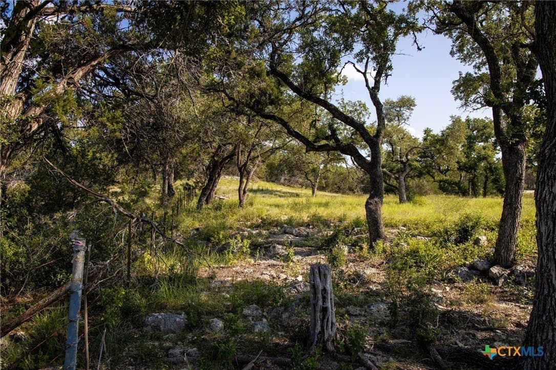 4 acres in Comal County - photo 16