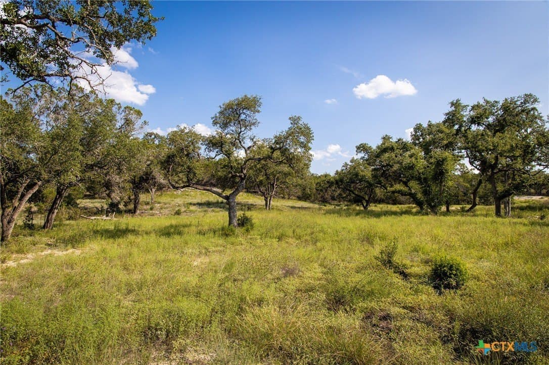 4 acres in Comal County - photo 17