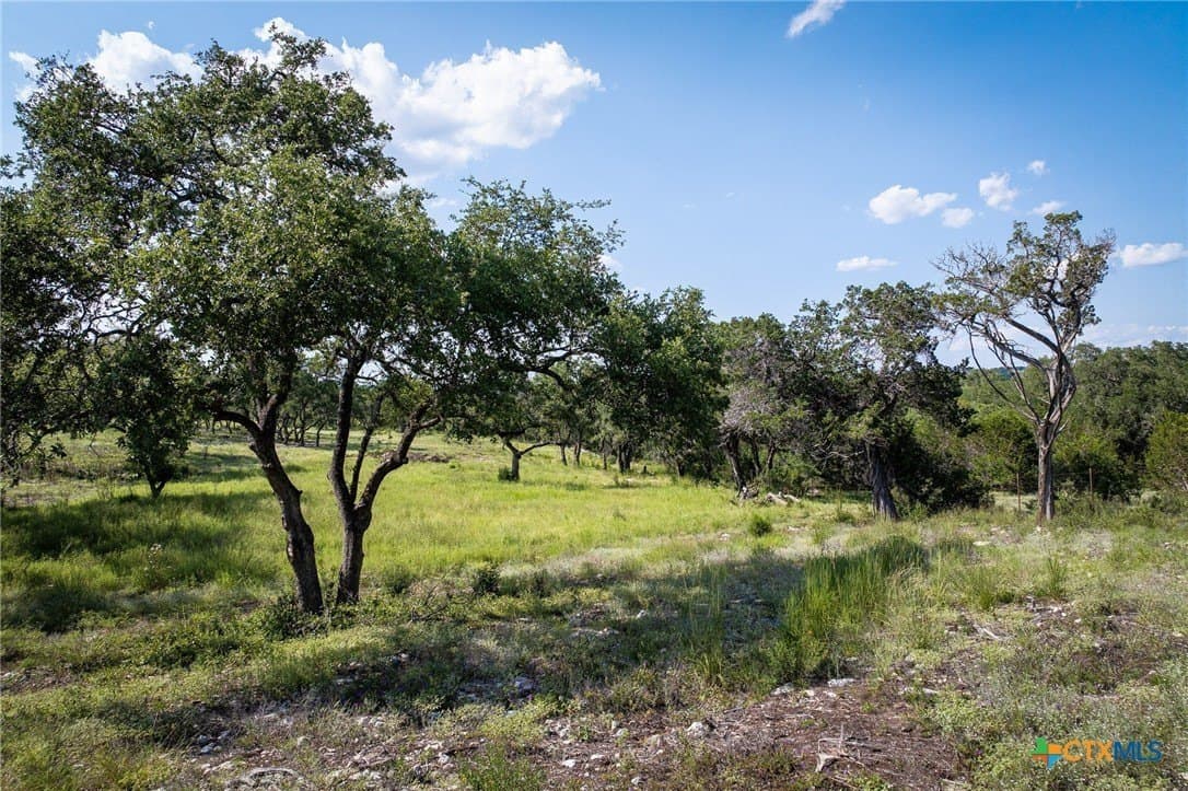 4 acres in Comal County - photo 5