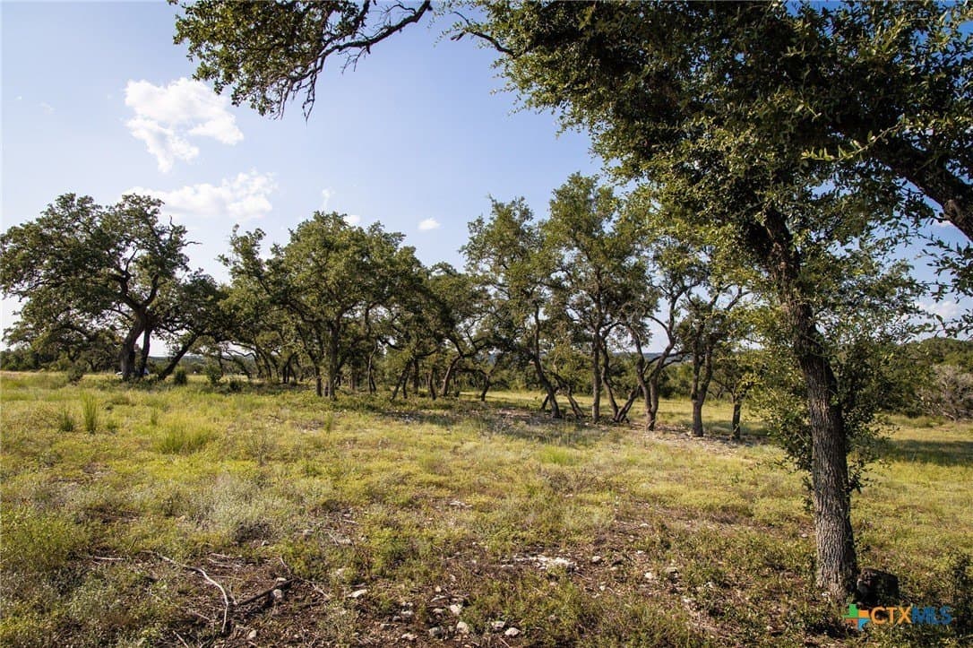 4 acres in Comal County - photo 18