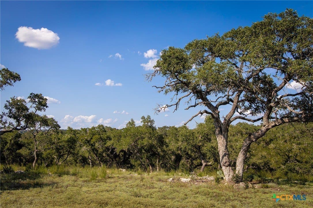 4 acres in Comal County - photo 12