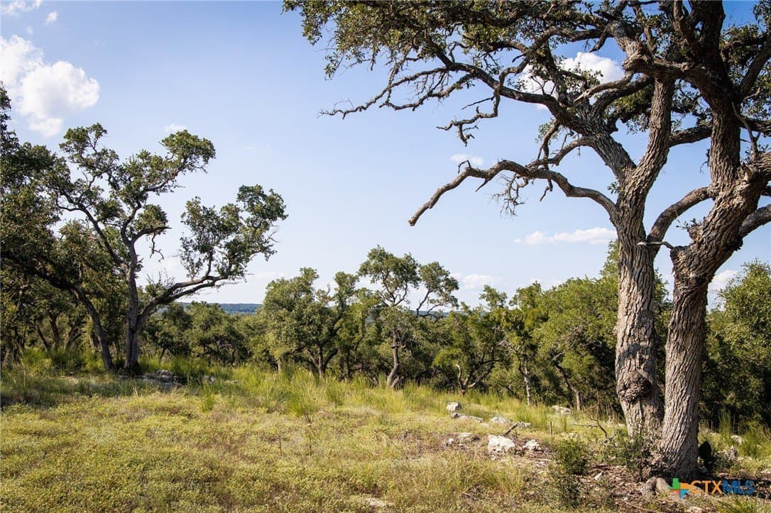 4 acres in Comal County - photo 13