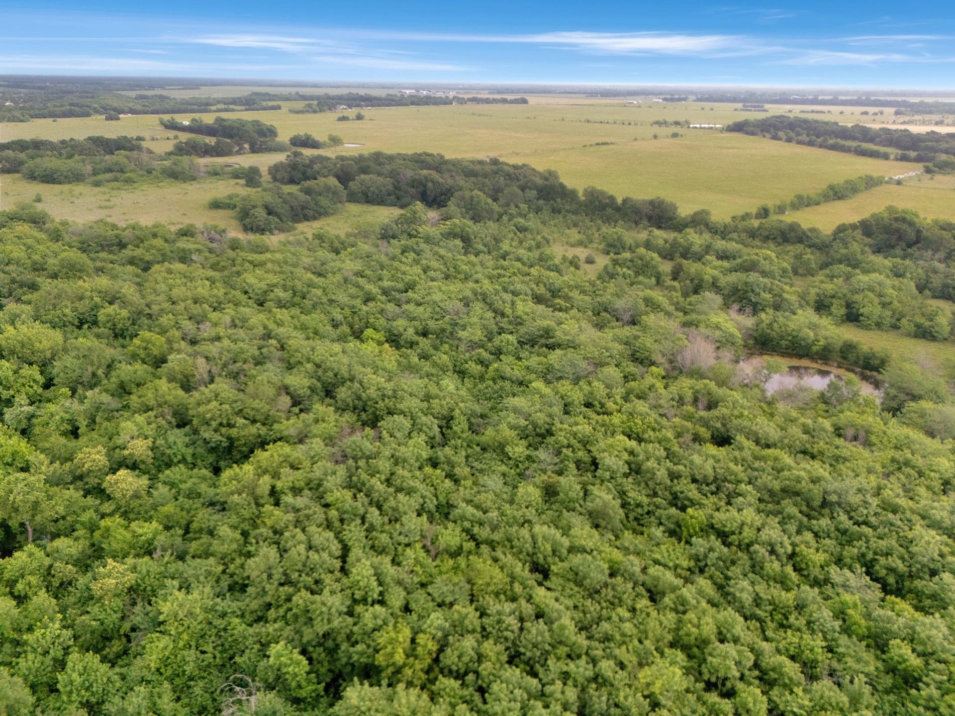 87.92 acres in Delta County - photo 11