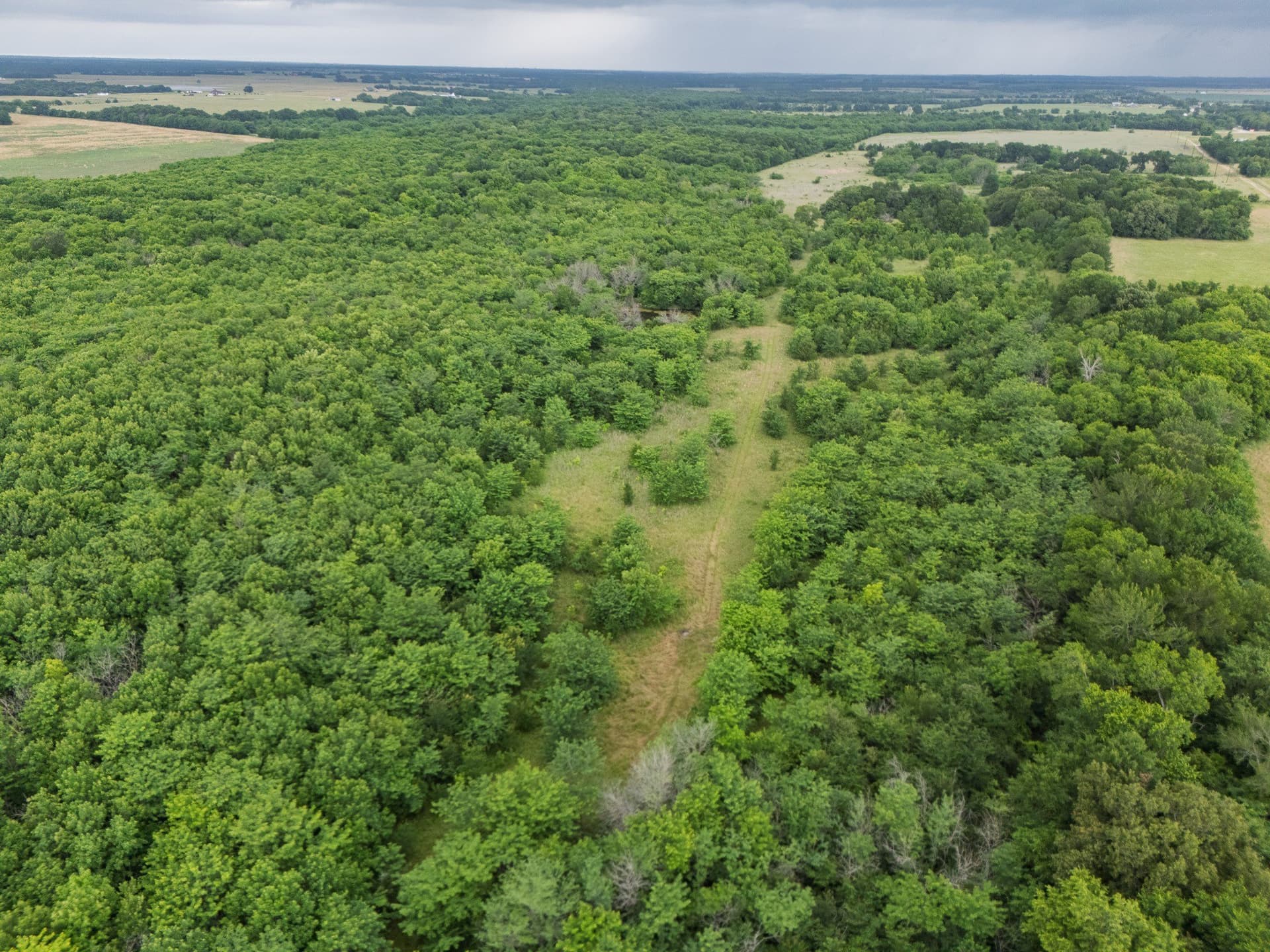 87.92 acres in Delta County featured view