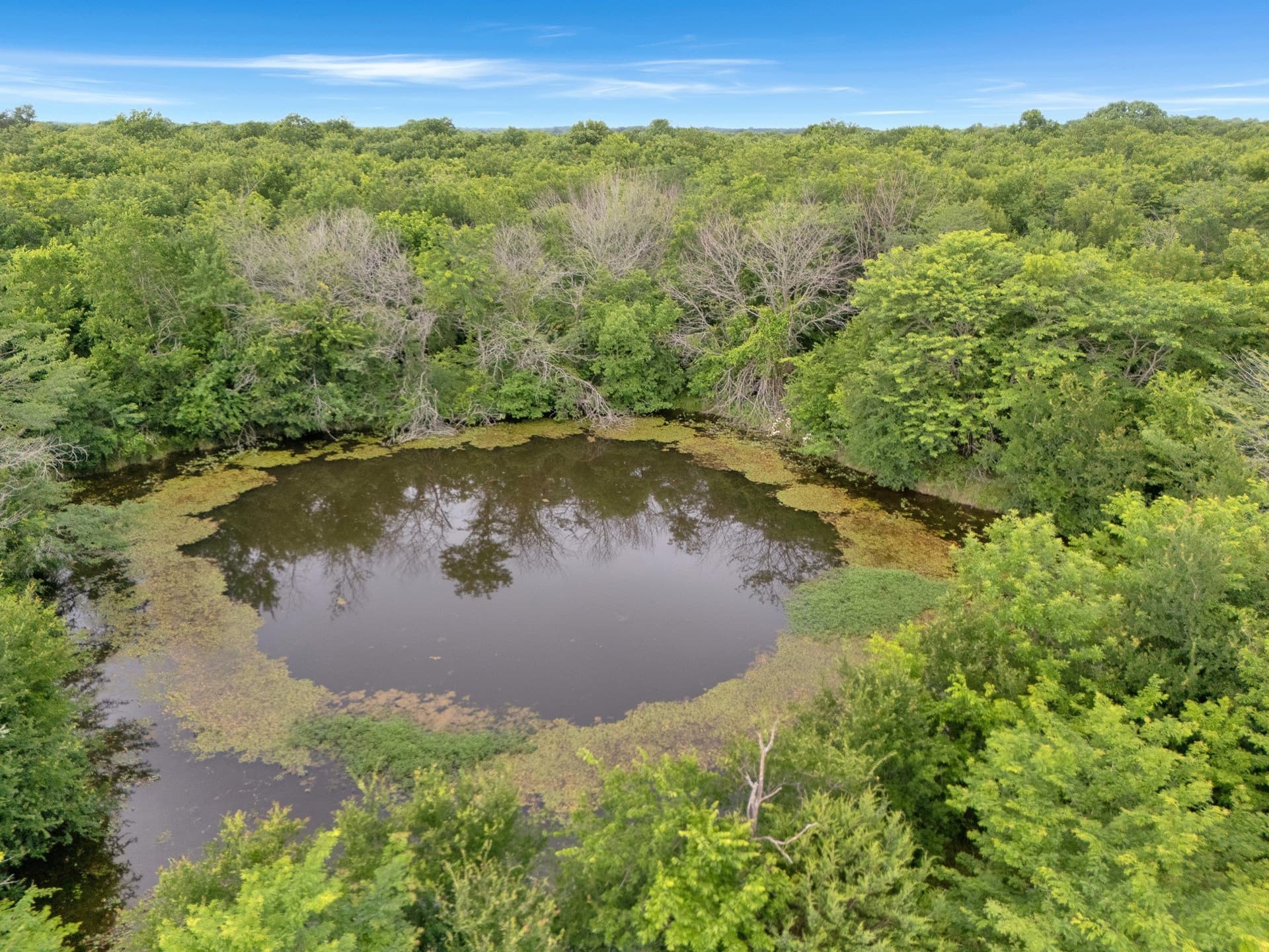 87.92 acres in Delta County - photo 9