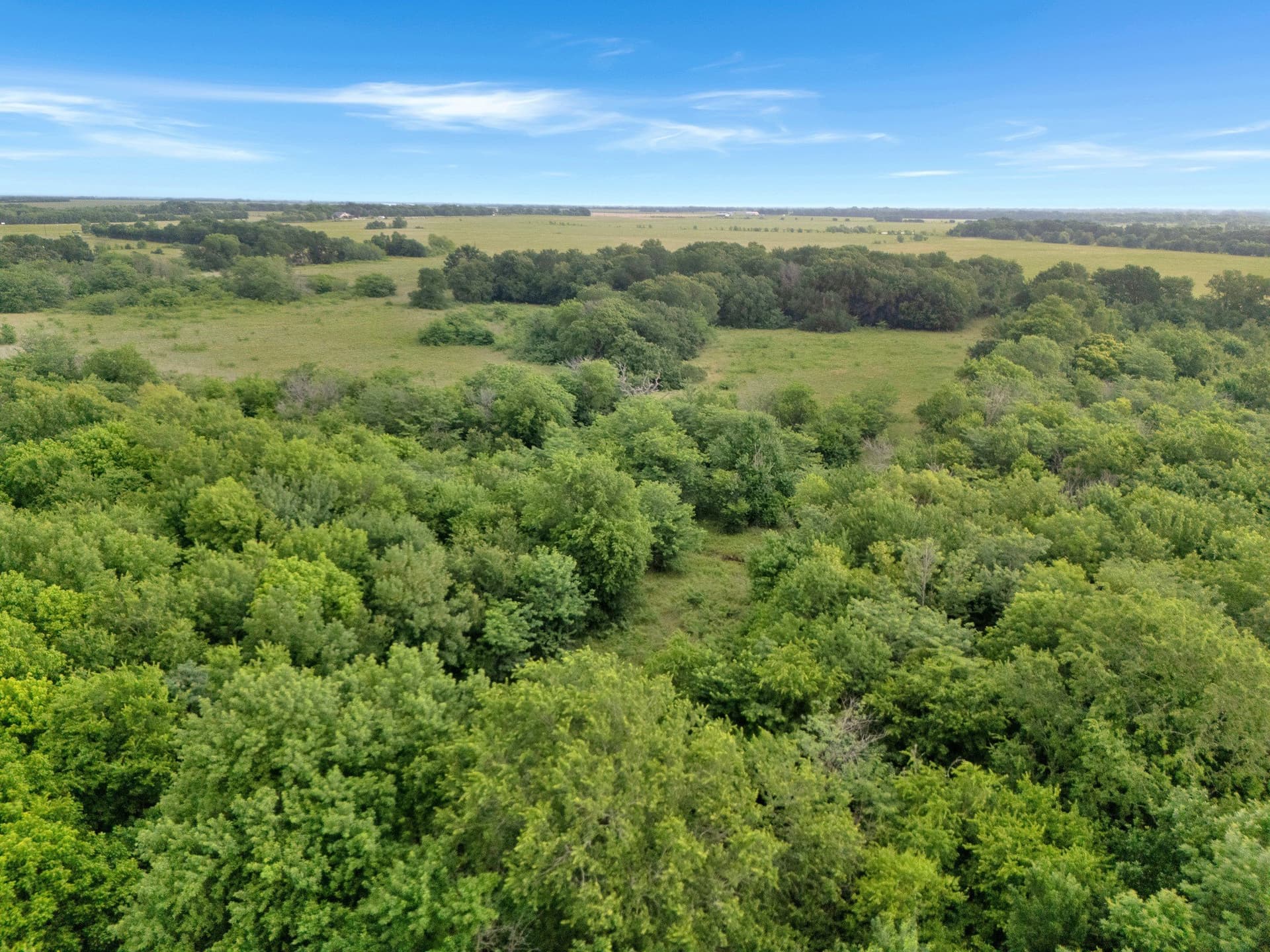 87.92 acres in Delta County - photo 14