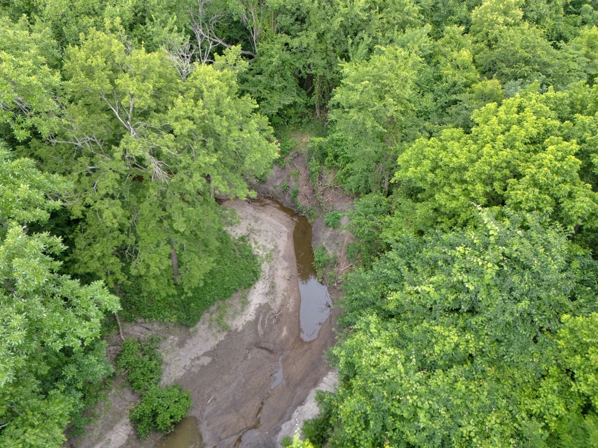 87.92 acres in Delta County - photo 13