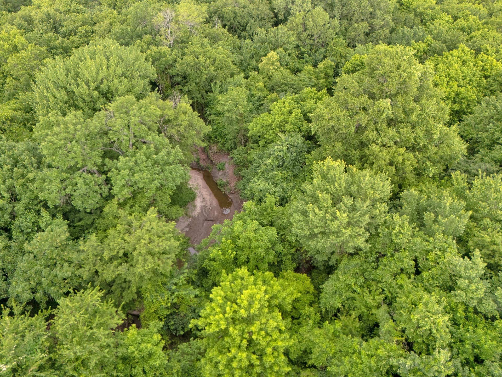 87.92 acres in Delta County - photo 12