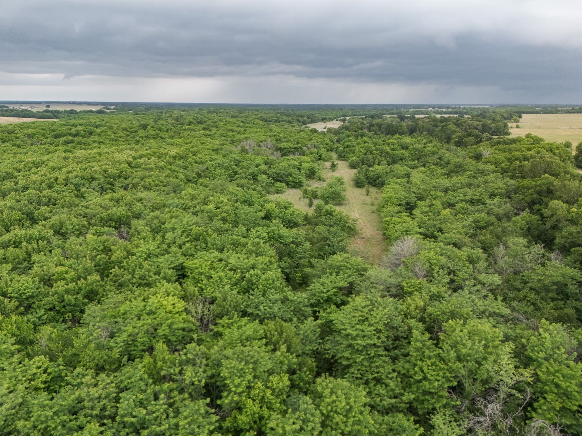 87.92 acres in Delta County gallery image 4