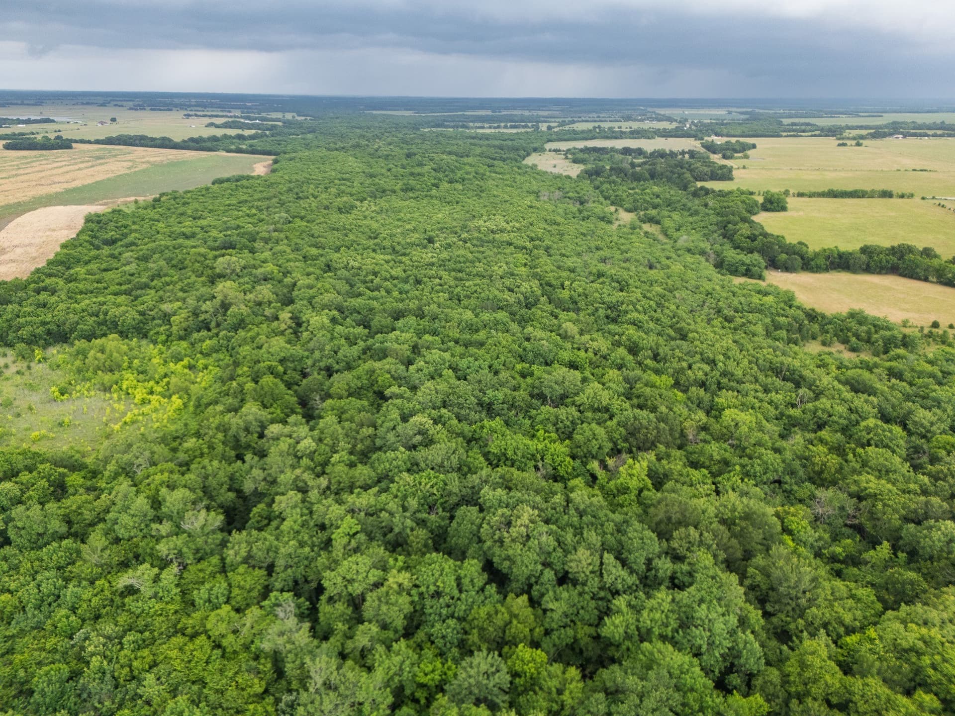 87.92 acres in Delta County gallery image 3