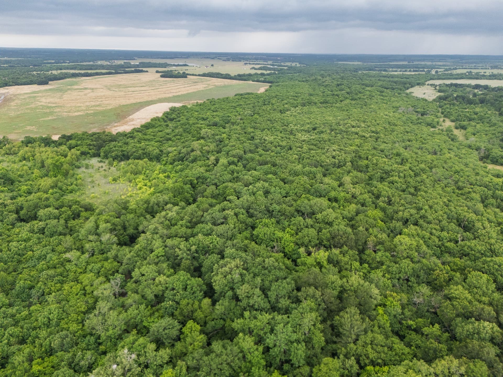 87.92 acres in Delta County gallery image 2
