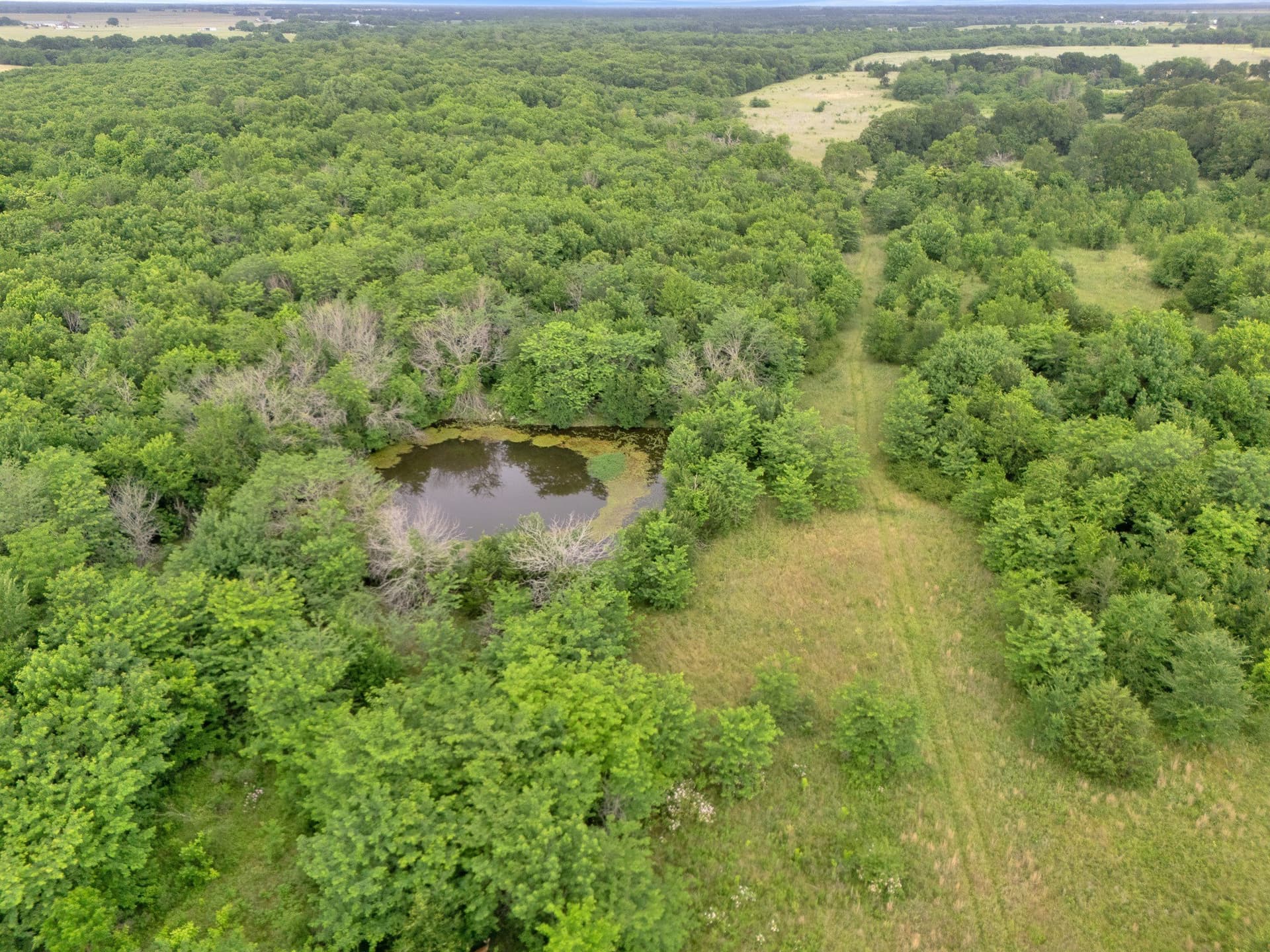 87.92 acres in Delta County - photo 7