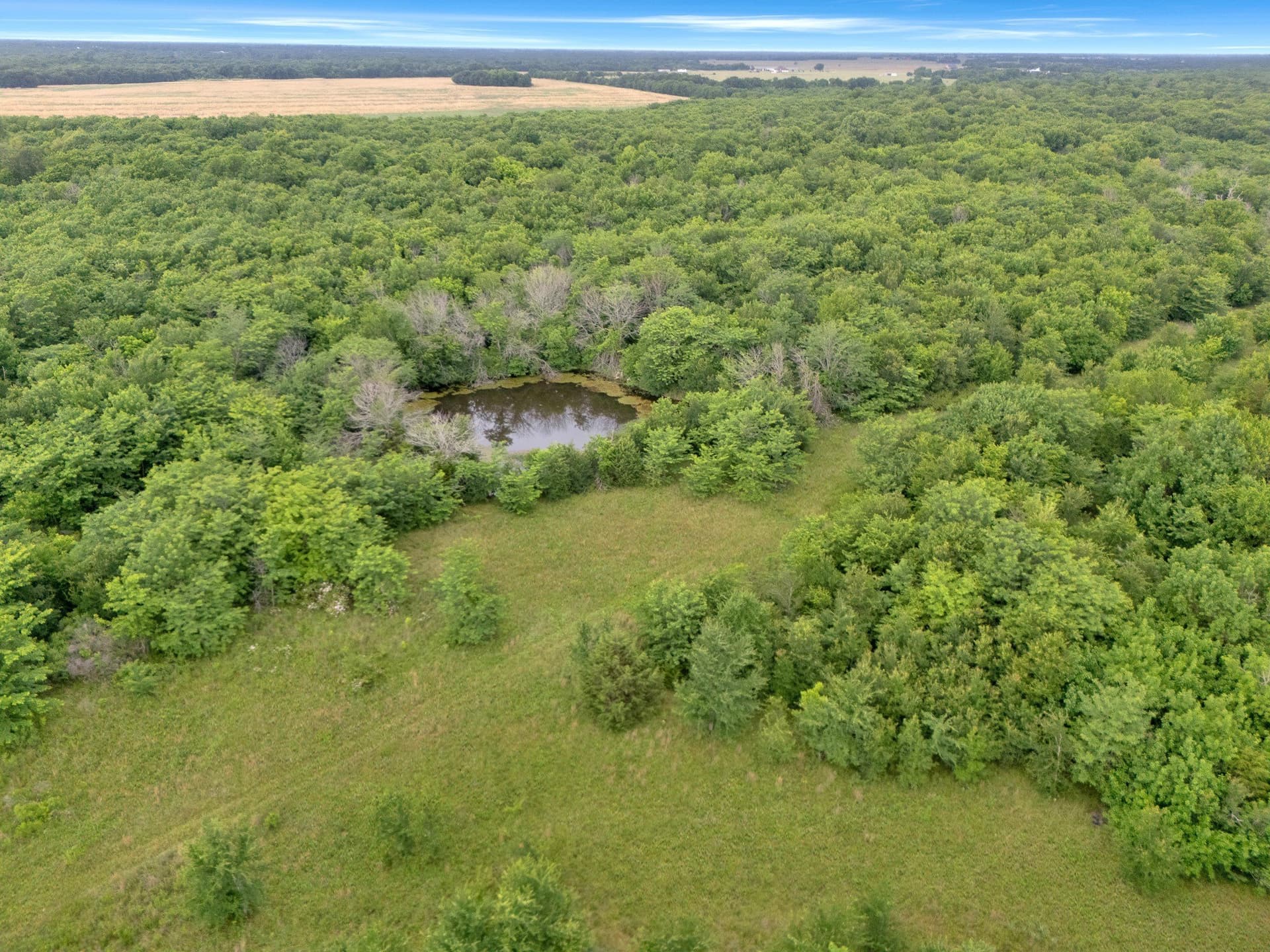 87.92 acres in Delta County - photo 8