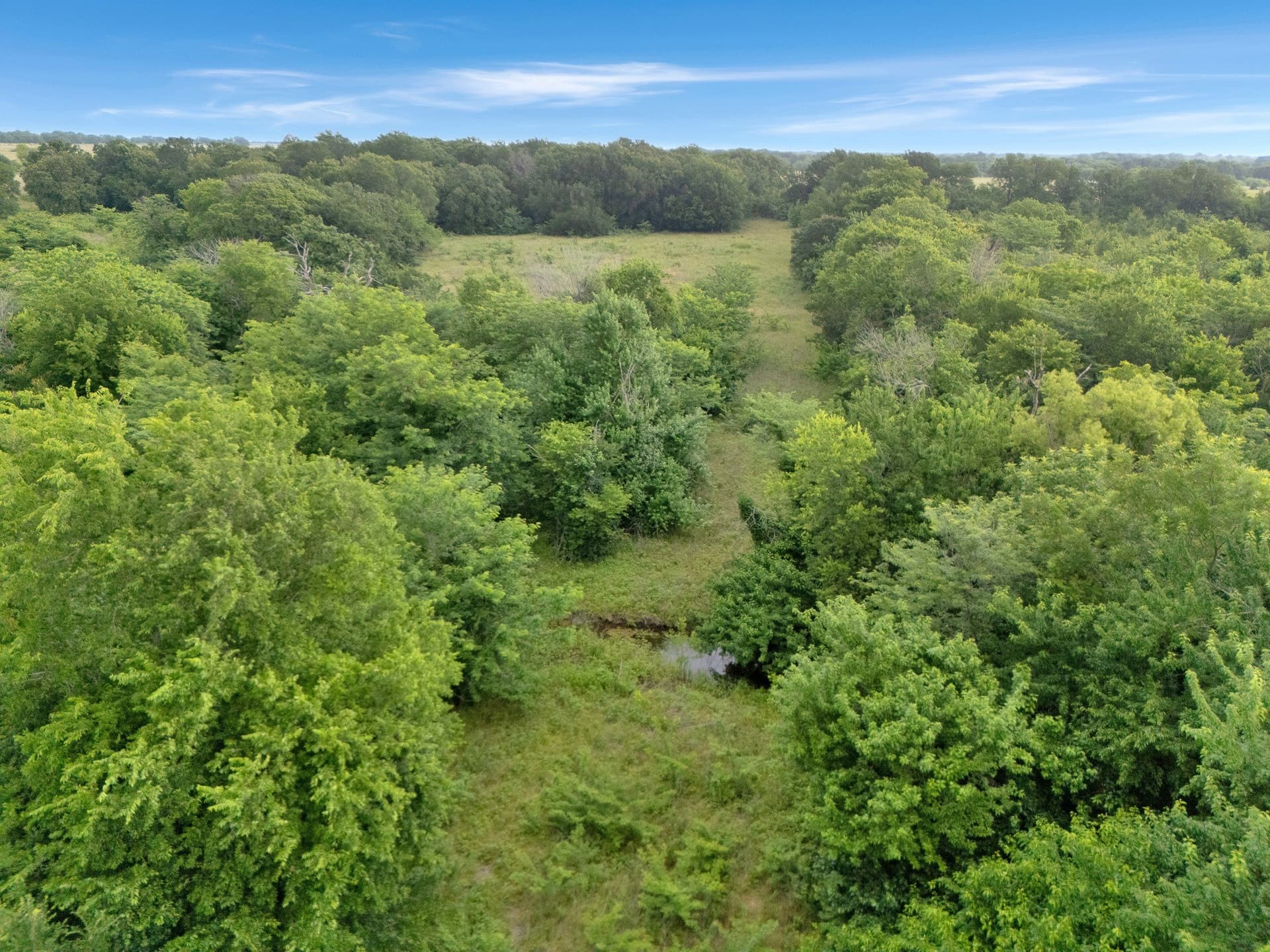 87.92 acres in Delta County - photo 15