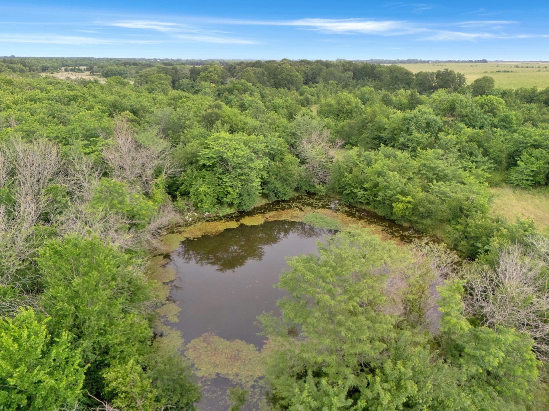 87.92 acres in Delta County - photo 10