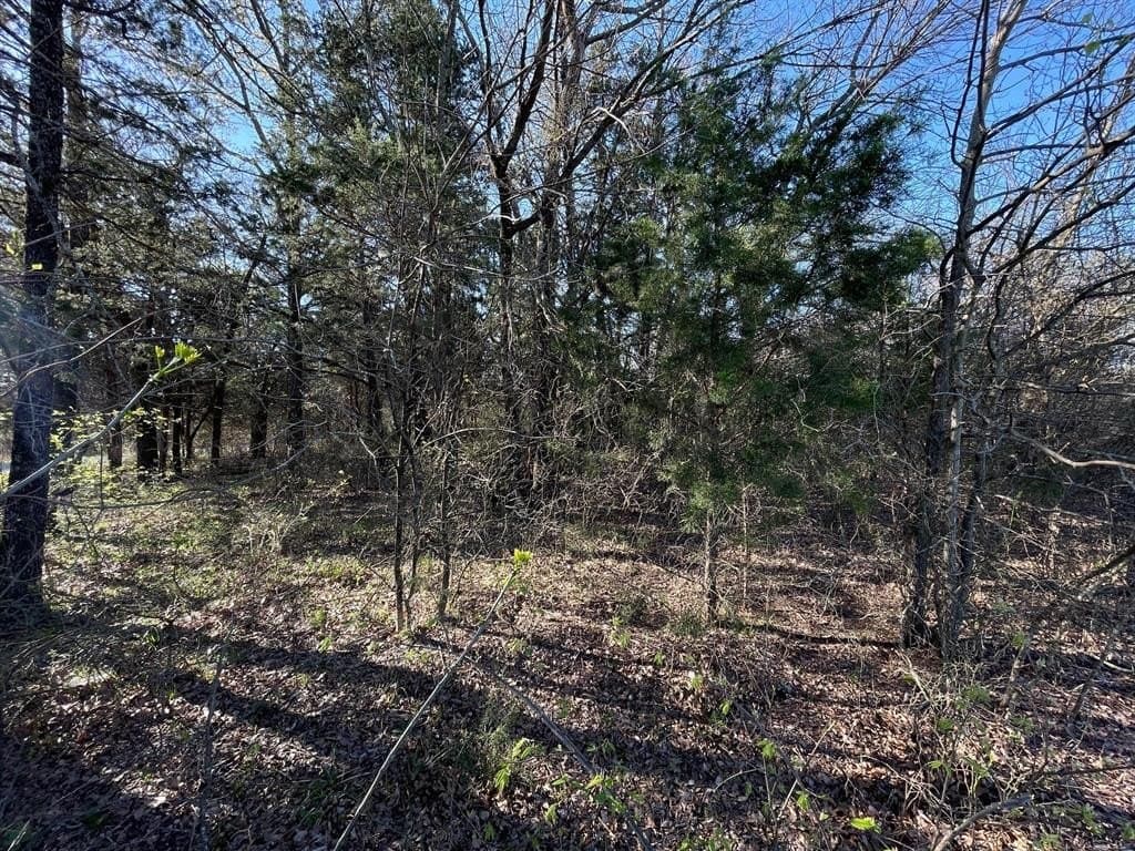 0.65 acres in Grayson County gallery image 4