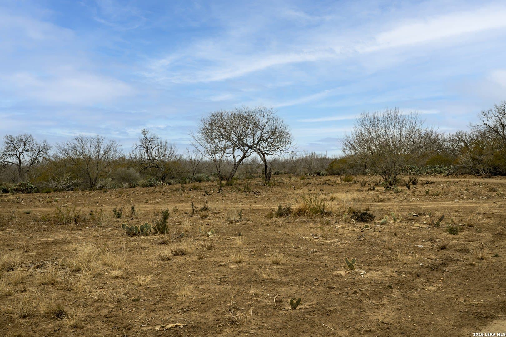 17.27 acres in Frio County featured view