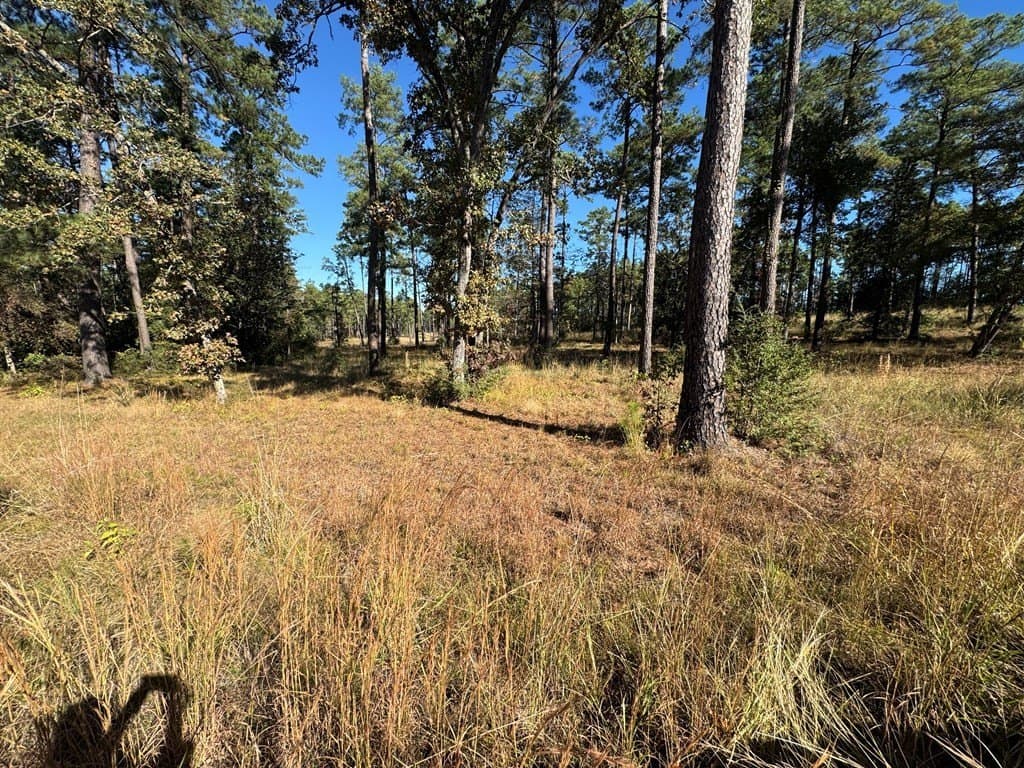 1.3 acres in Texas County - photo 8