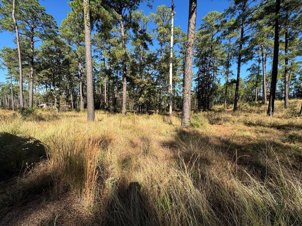 1.3 acres in Texas County - photo 7