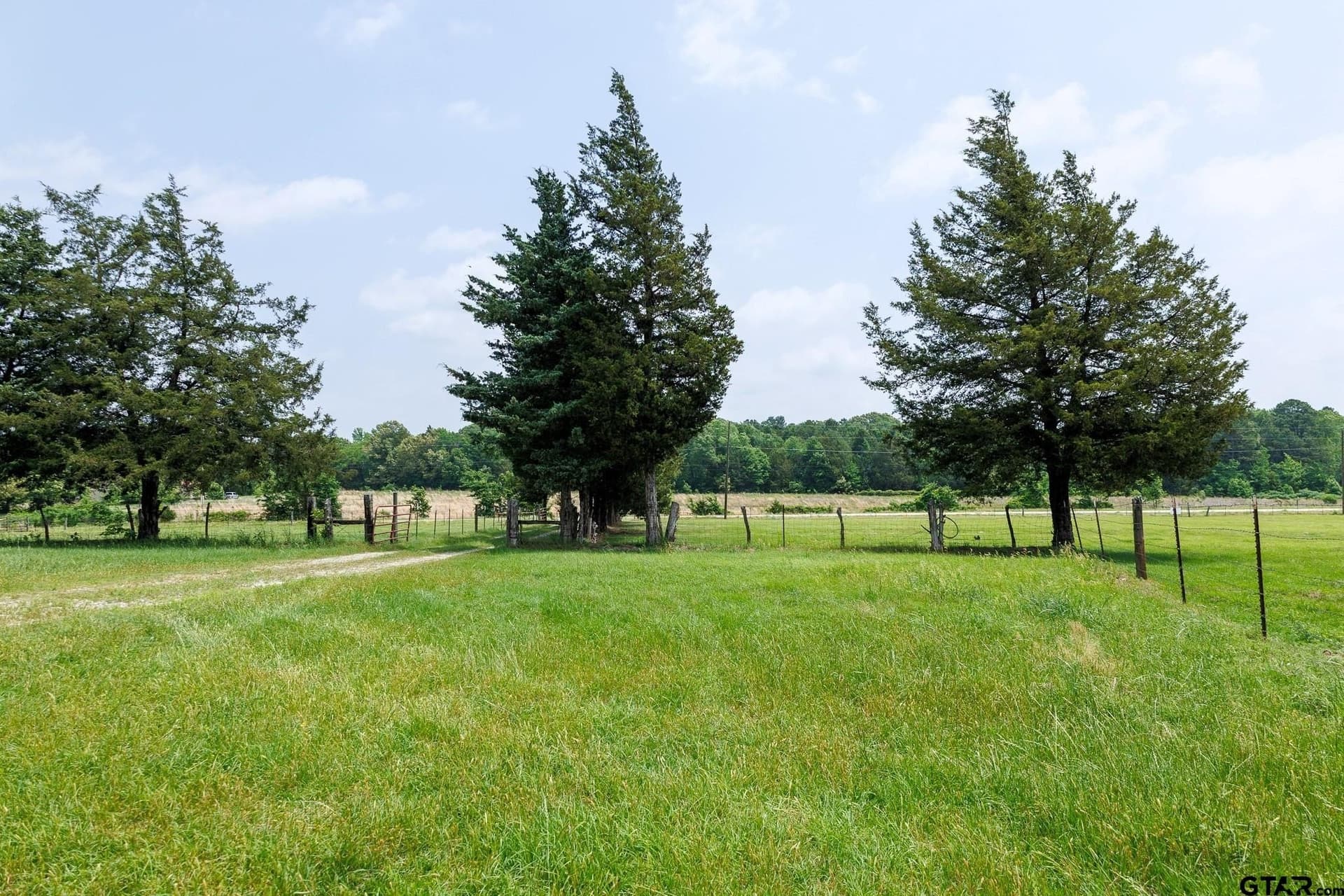 47.79 acres in Van Zandt County - photo 7