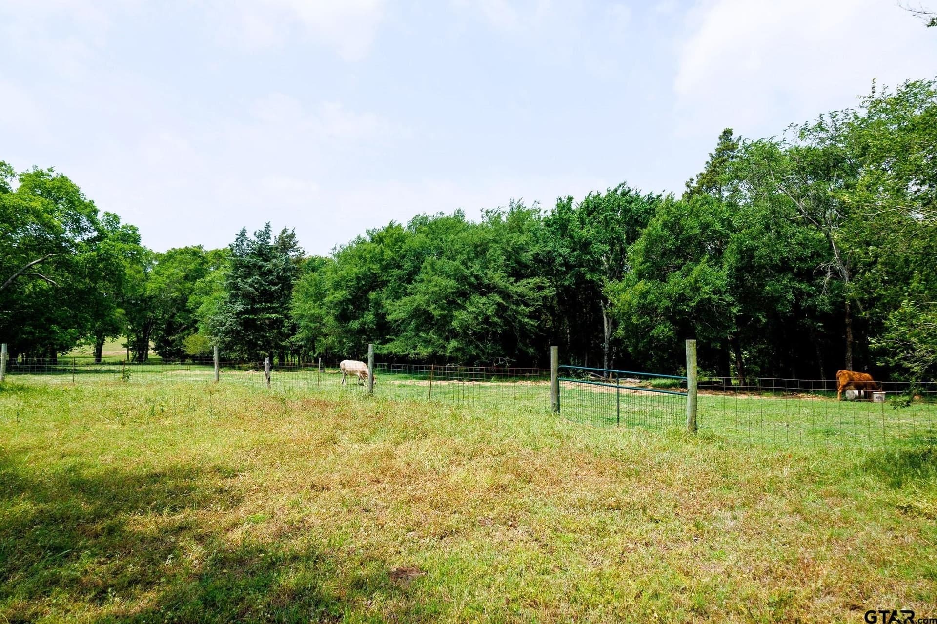 47.79 acres in Van Zandt County - photo 11