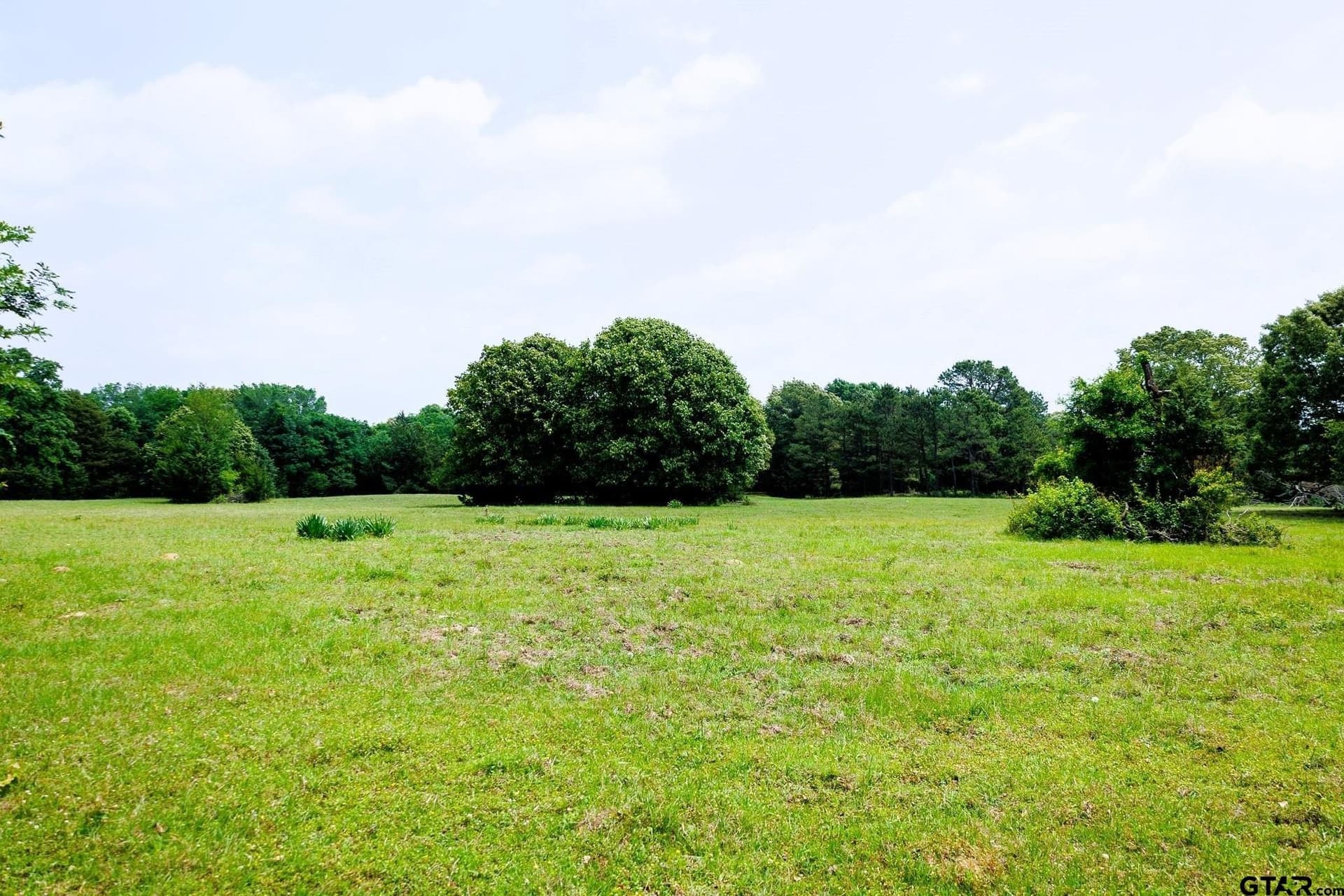 47.79 acres in Van Zandt County - photo 26