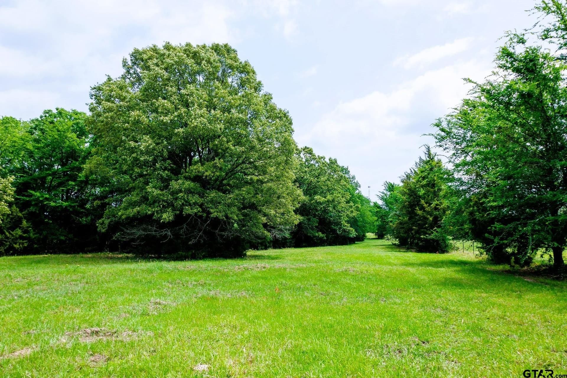 47.79 acres in Van Zandt County - photo 21