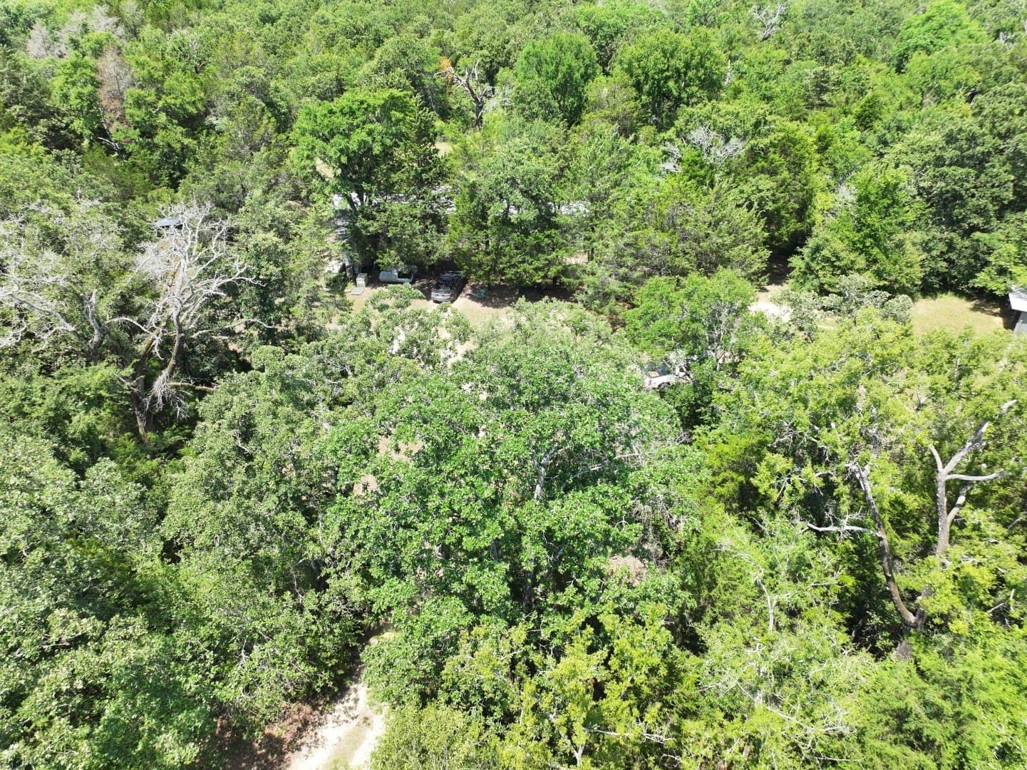 33.76 acres in Freestone County - photo 14