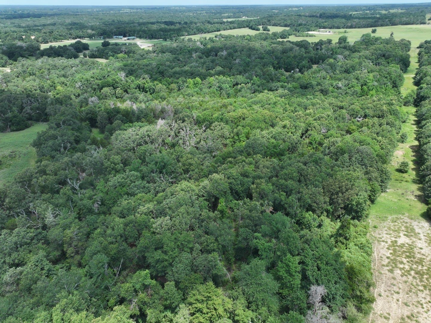33.76 acres in Freestone County - photo 8
