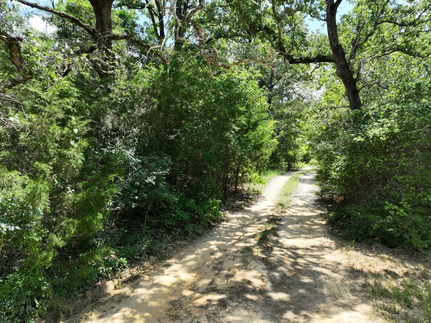33.76 acres in Freestone County - photo 15