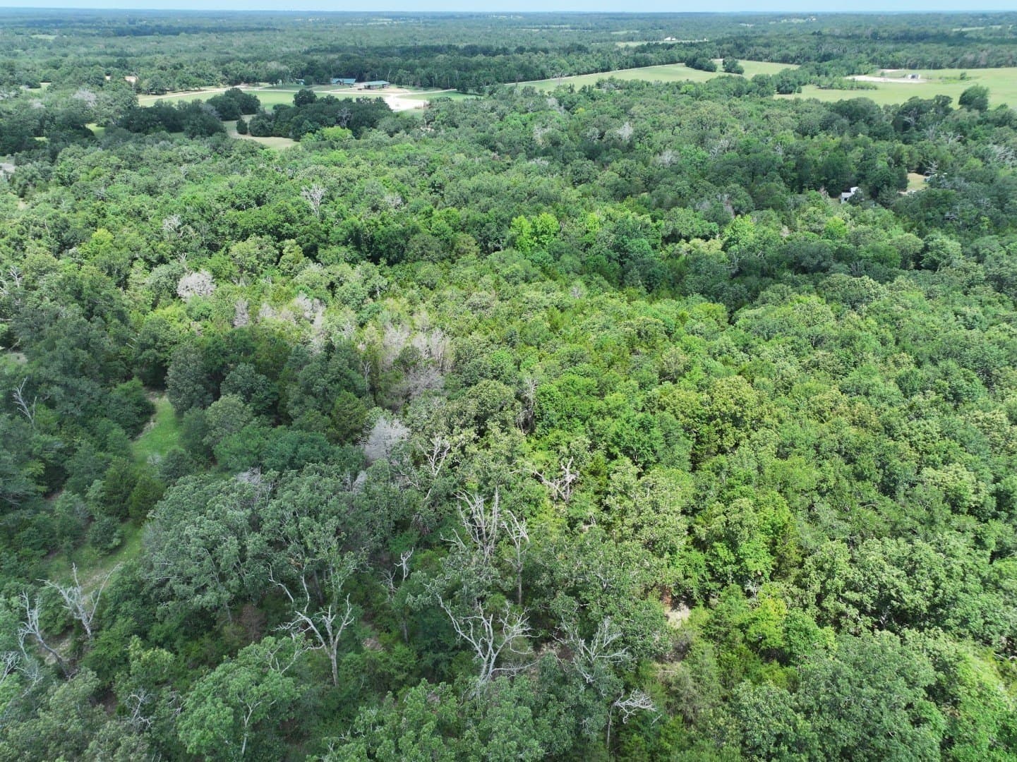 33.76 acres in Freestone County - photo 10