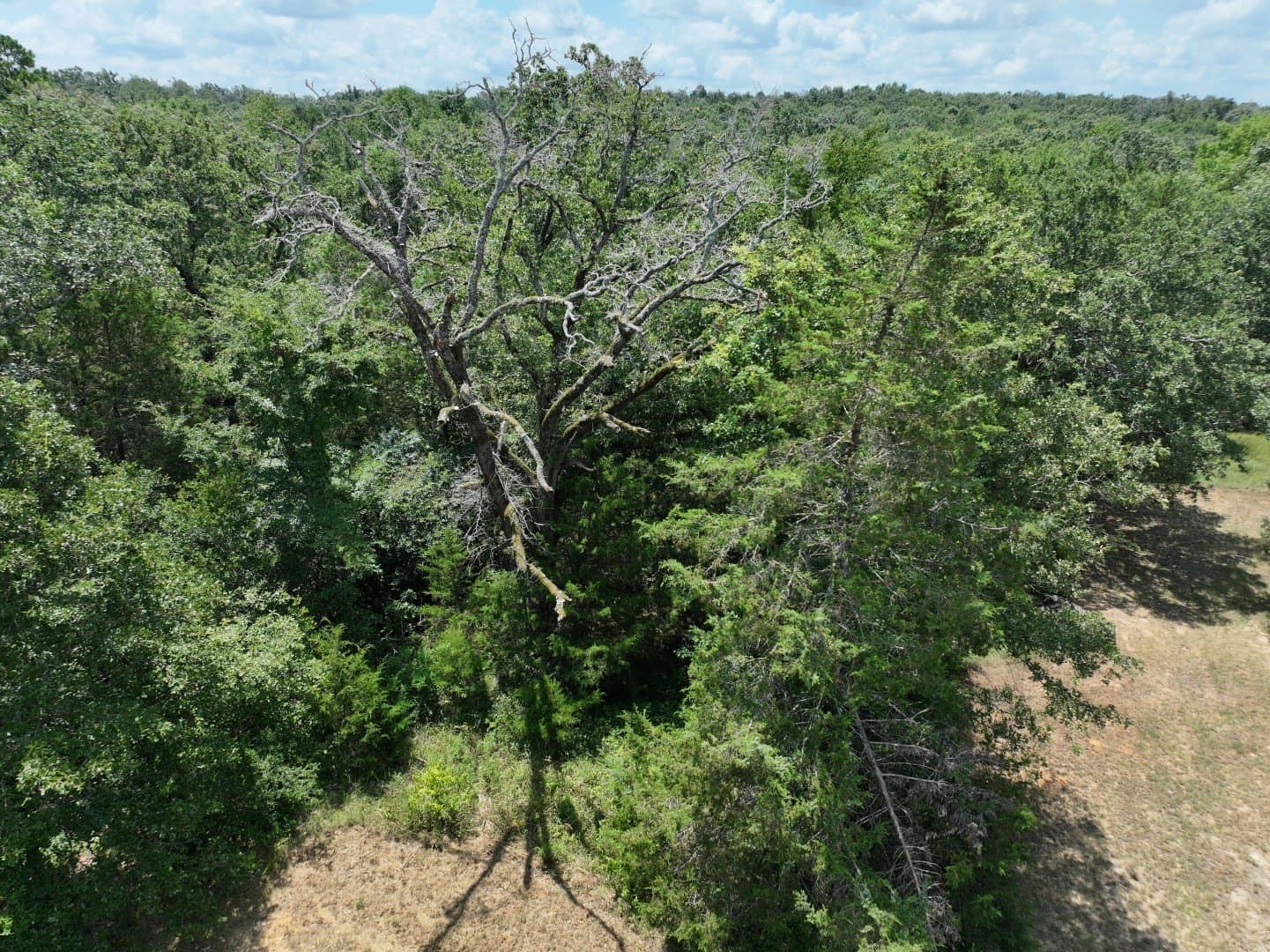 33.76 acres in Freestone County - photo 13