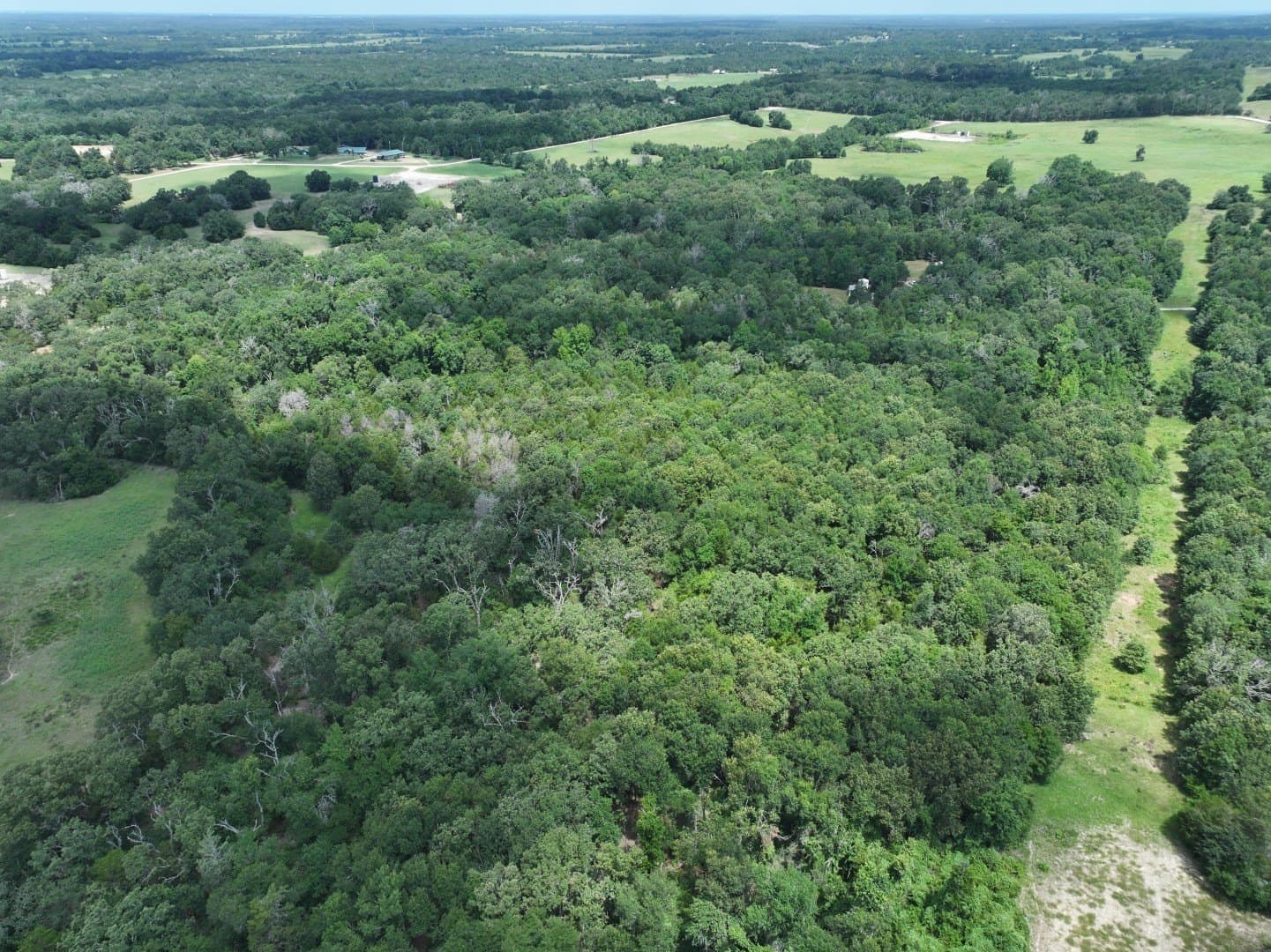 33.76 acres in Freestone County - photo 9