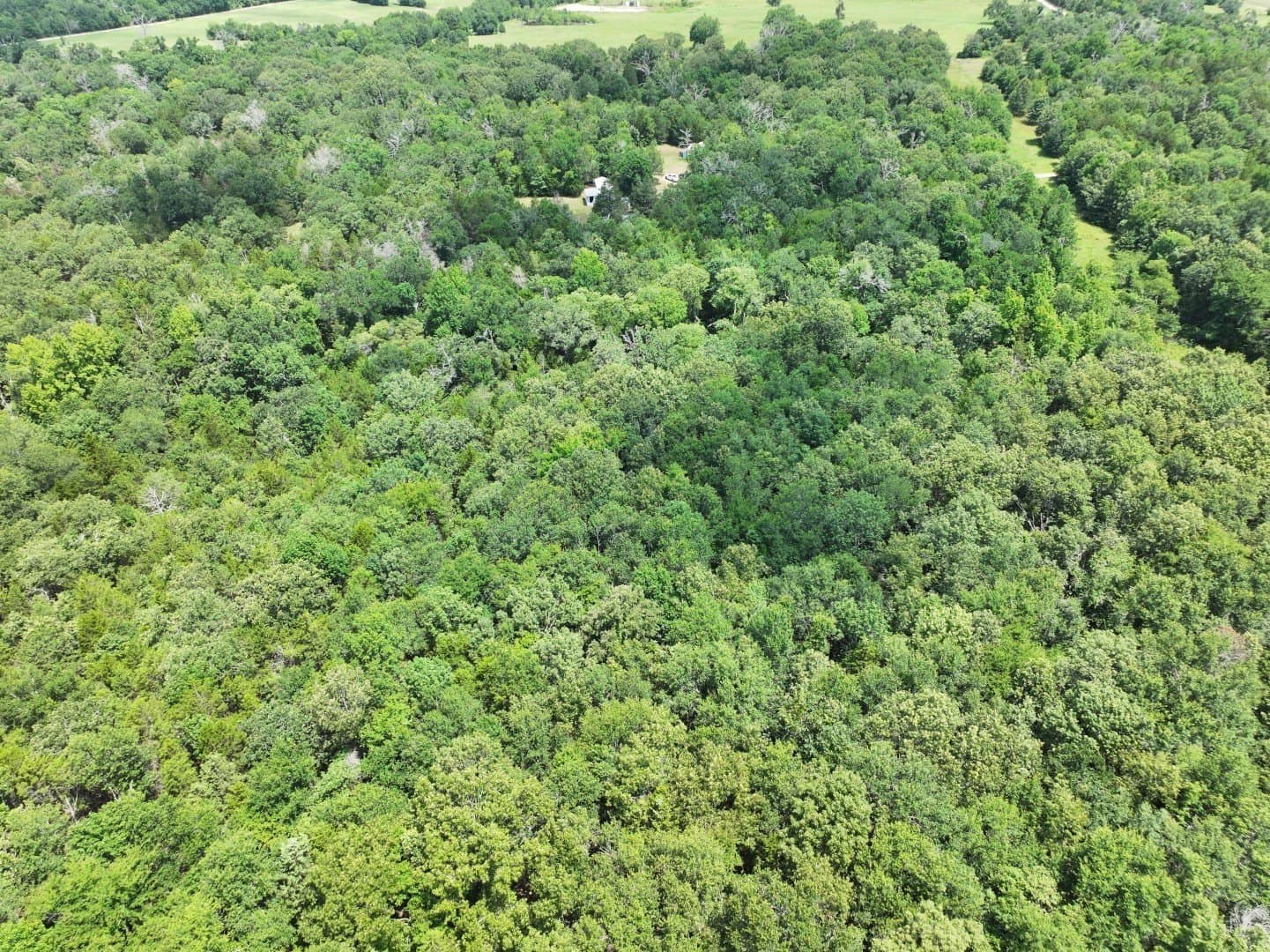 33.76 acres in Freestone County - photo 11