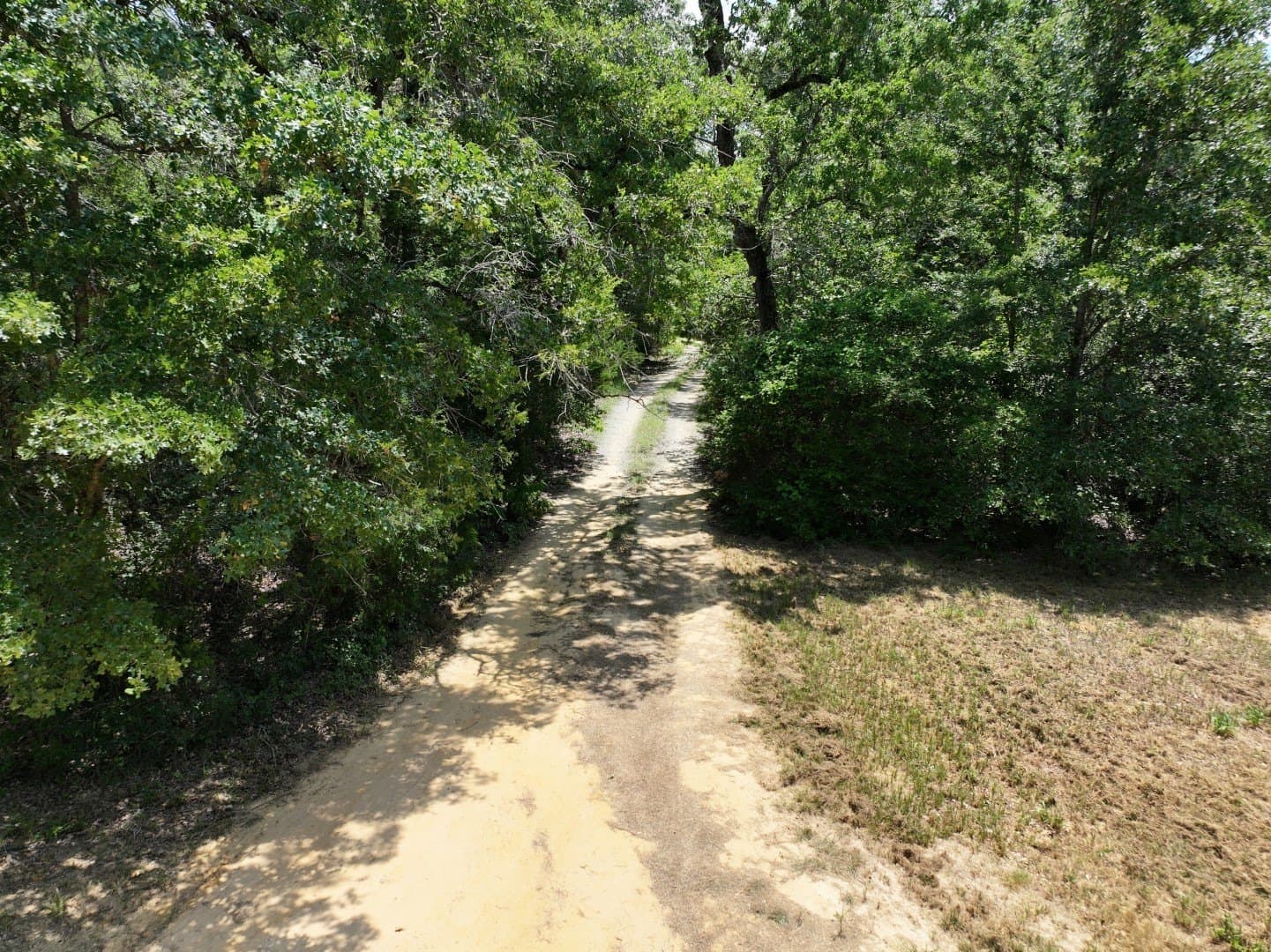 33.76 acres in Freestone County - photo 12